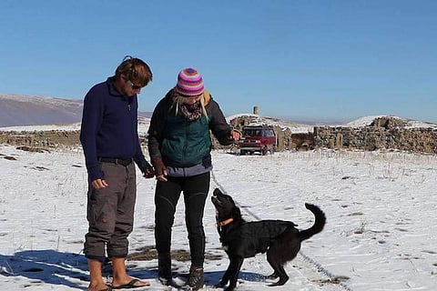 The efforts for the rescue and lookout were taken by an animal activist | Facebook/SyncroTravels