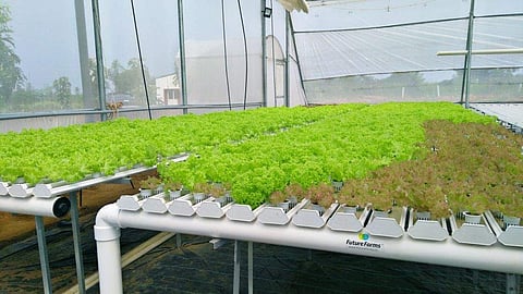 The Farm boasts of technology and processes that can grow crops and varities the kind India hasn't yet seen