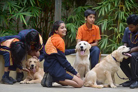 Clearly, the students are happy having the dogs around. PICS: Pushkar V