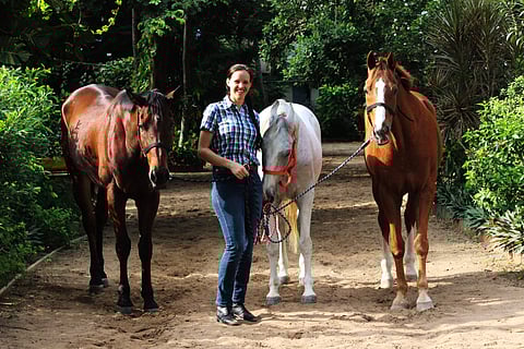 Isabelle has conducted training for several major clients including BMW and Palio