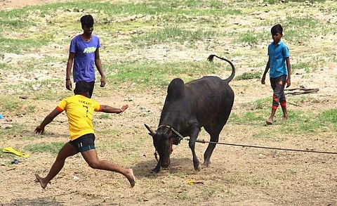 From January there will be various tournaments held across the state and there will be many participants in all the districts across Tamil Nadu (Pic: Express)