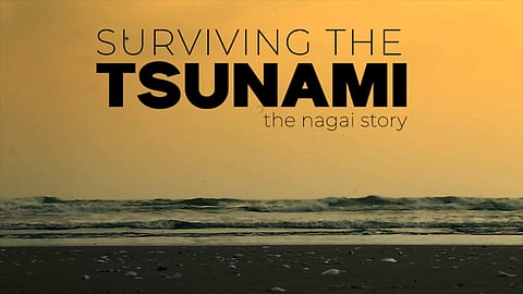 On the 14th anniversary of the Tsunami, we visit the most badly affected regions in Tamil Nadu to see how the people were coping