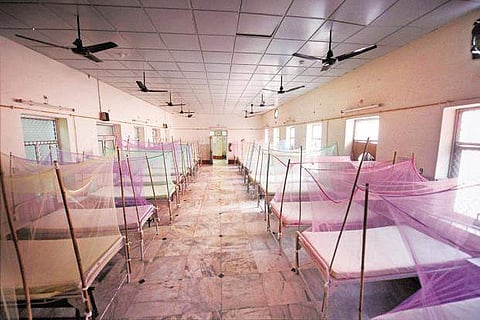 The research will help prevent dengue hemorrhagic fever or dengue shock syndrome | PTI
