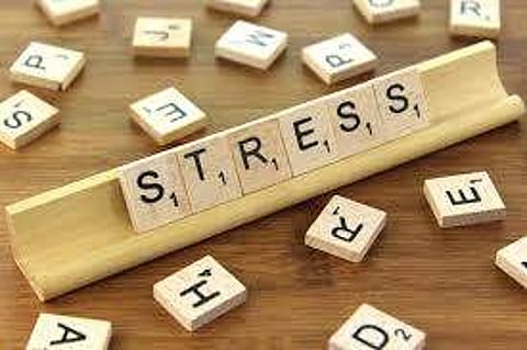 Stress could affect vision and lead to blindness