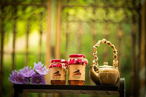 Hoopoe on a Hill, a Kodaikanal-based organisation sells organic products
