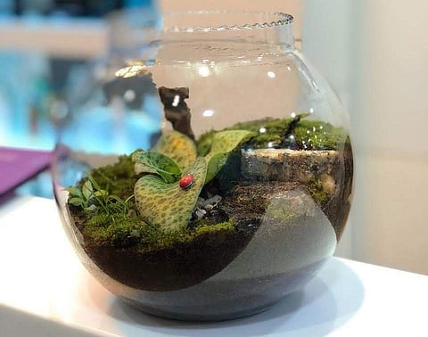He uses moss as it helps him recreate nature (Pic: Jaya Bharathi Sunder)