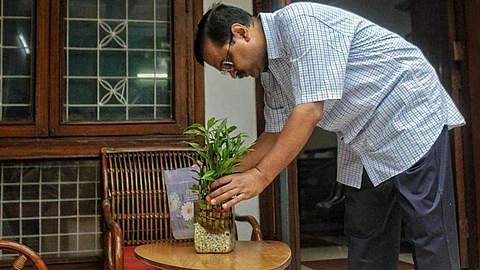 Image for representational purpose only (Pic: PTI)
