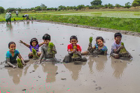 Into it: Kids during a trip called Rice Stories | (Pic: Dirty Feet)