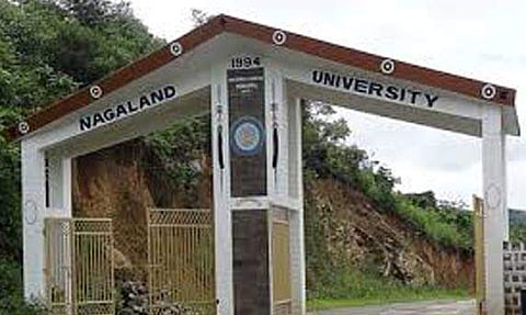 Nagaland University