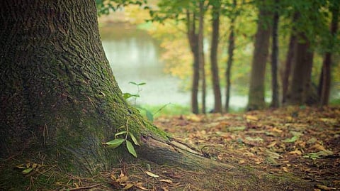 Image for representational purpose only
