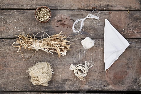 Hemp seeds and fibre can be used to make as many as 60,000 products | (Pic: Hemp Republic)
