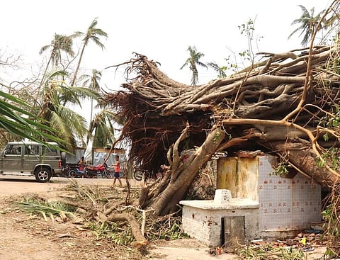 In the aftermath of Cyclone Fani | (Pic: Biswajit Mohanty)