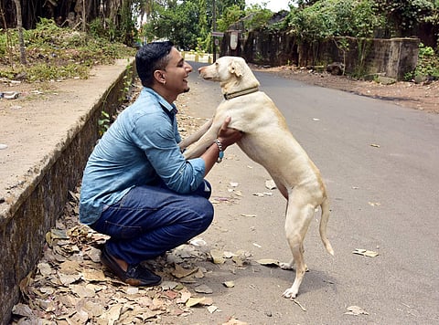 Since 2006 Tauseef has been working and learning about animal rescue with Animal Care Trust in Mangalore (Pic: Rajesh Shetty)