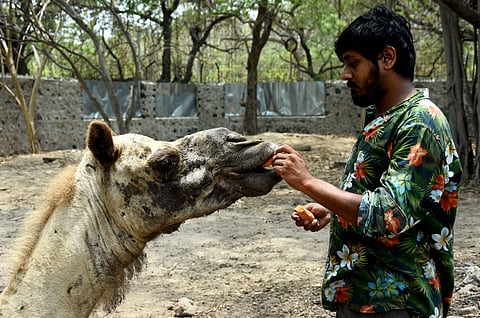 Started in 2014, the Besant Memorial Animal Dispensary is run by Shravan and his team of caretakers, doctors and it houses all kinds of animals (Pic: Ashwin Prasath)