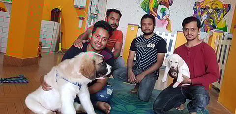 All this has certainly made them popular enough. So much so that they are booked for the whole month and are considering opening a new branch (Pic: Mad For Dogs)