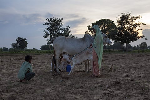 In the last three years, as many as 44 people were killed in mob related violence says a report from Human Rights Watch