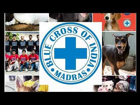 Image for representational purpose only (Facebook-Blue Cross)