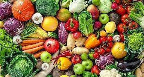 Deputy Director of Horticulture D Manjunath said he was not sure when the college would start