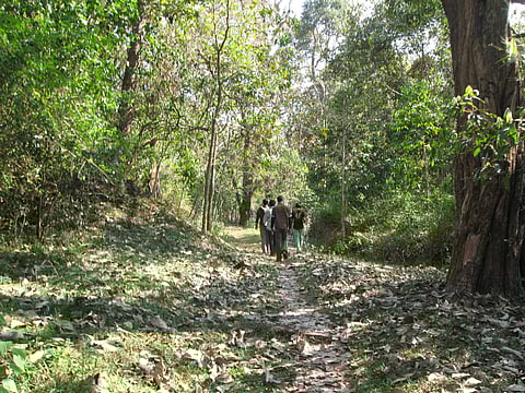 Image for representational purpose