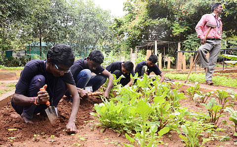 Trainees work in the garden at APD Horticultural Training Center (Pic: Shriram B N)
