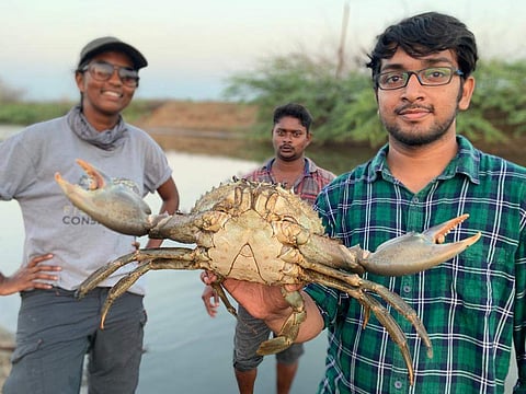 A sustainably harvested crab with local farmer Venkat | (Pic: Fishing Cat Conservancy Trust)