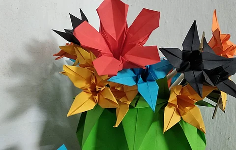 Origami at it's best | (Pic: T Ravi Kumar)