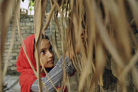 Representational image (Source: AP)