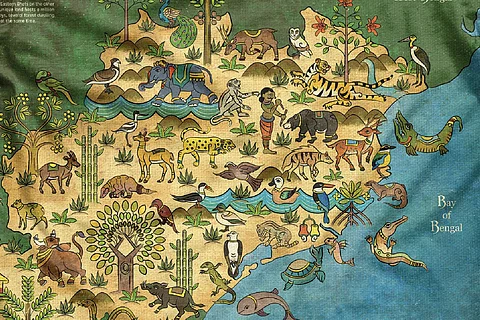 Wildlife map | (Pic: Sudarshan Shaw)