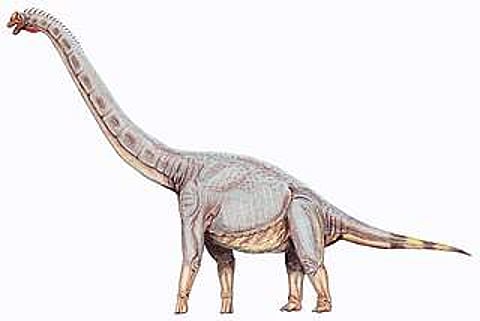 Image for representational purpose only| Pic: Wikipedia