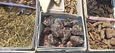 Himalayan Black Rock salt along with the high altitude medicinal plants in Uttarakhand| Pic: LPU