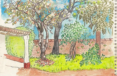 Ann celebrates traditional cooking methods that were prevalent in Kerala
