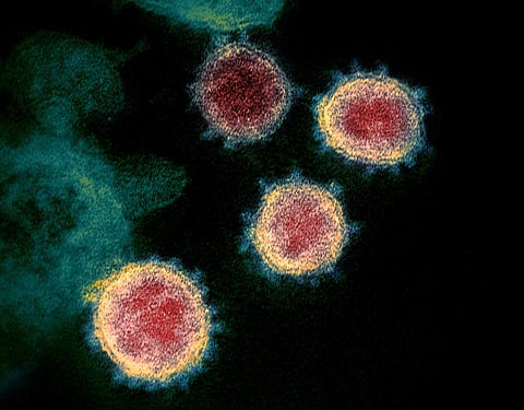 Coronavirus is causing chaos