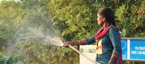 Celebrating women in sanitation