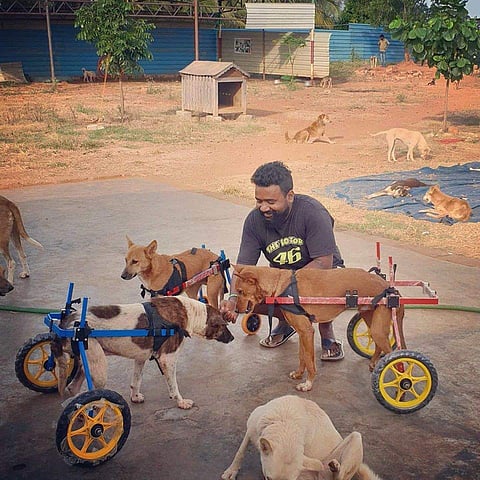 Praveen Kumar with the dogs in his shelter