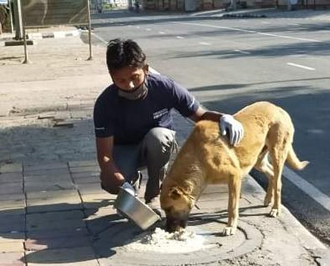 A caregiver feeding a stray