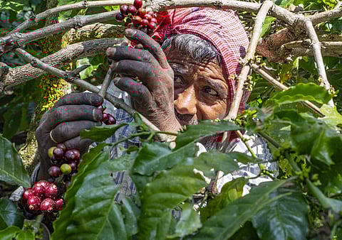 A shot from the documentary| Pic: Pratik Dey Chowdhury