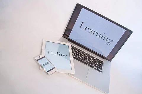Learn online | (Pic: Internet)