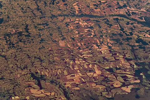 Between January and April, destruction of the forest by illegal loggers and ranchers rose 55 per cent
