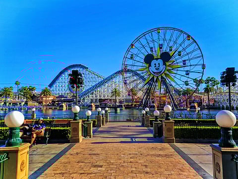 The Disneyland