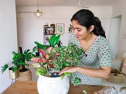 Dr Ekta Chaudhary in one of her videos om Garden Up| Pic: Ekta