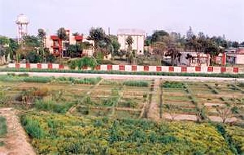 The FFDC campus