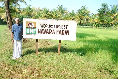 By 2006, Navara Eco Farm had over 72 varieties of rice