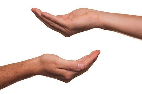 Organ donation | (Internet)
