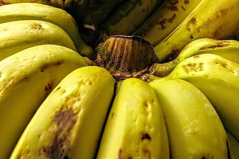 Image for representational purpose only (Pic: Pixabay)