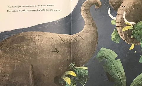 Bumoni_elephants