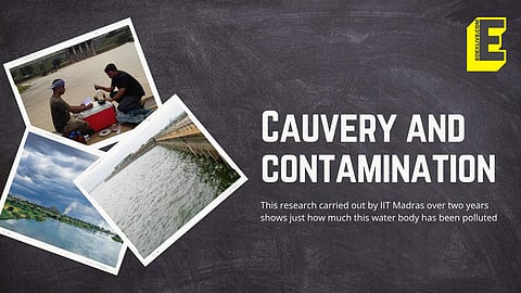 The river | (Pic: IIT Madras, Express and Edexlive)