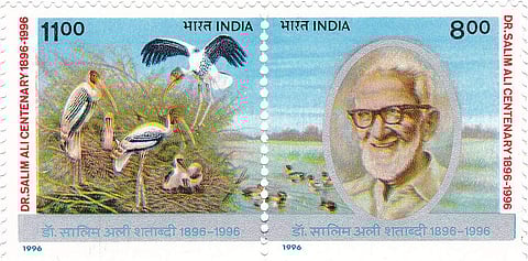 A Salim Ali 1996 stamp of India | Pic: Wikipedia