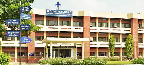 Image of the university for representational purpose only | Pic: Official website