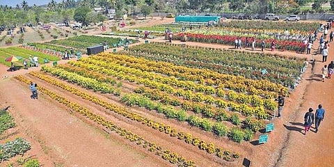 Representational image (Picture: Express)