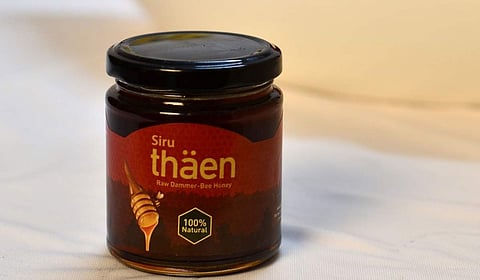 Pic: Thäen